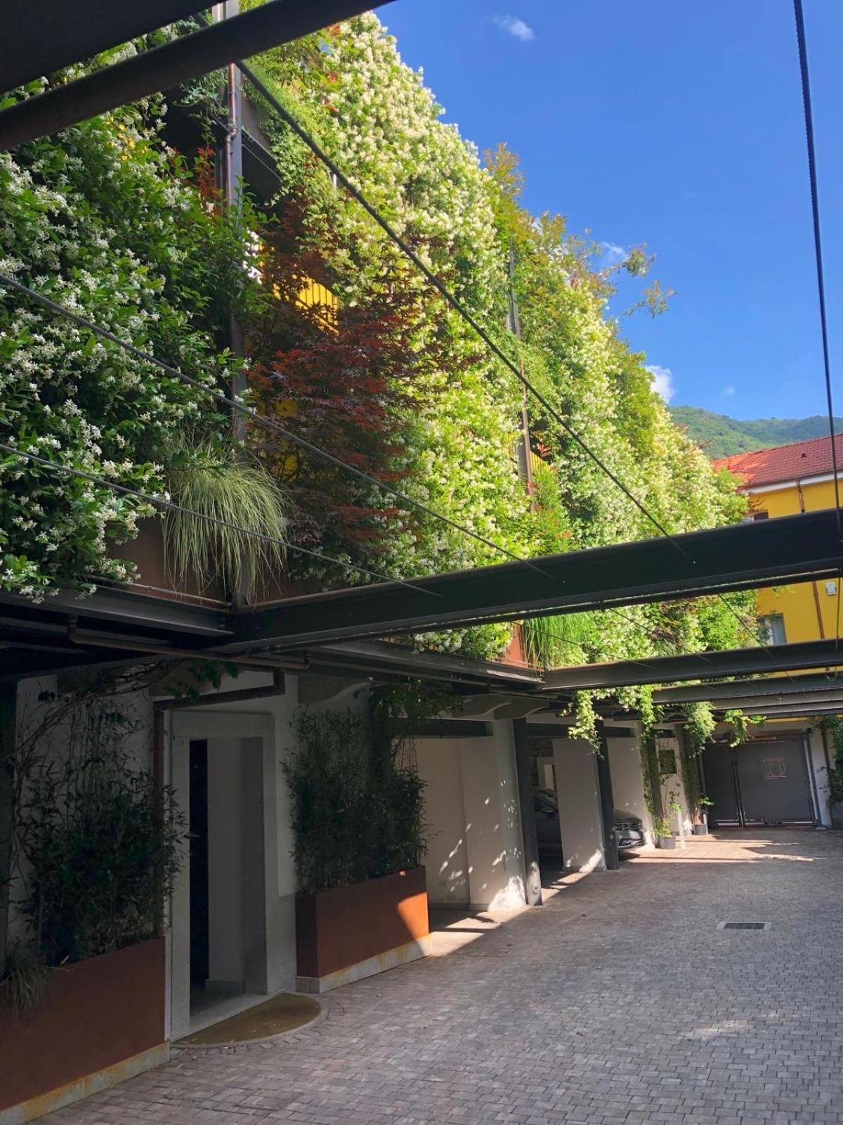 Residence Casa Coppa Appartamento Iris Omegna Extérieur photo